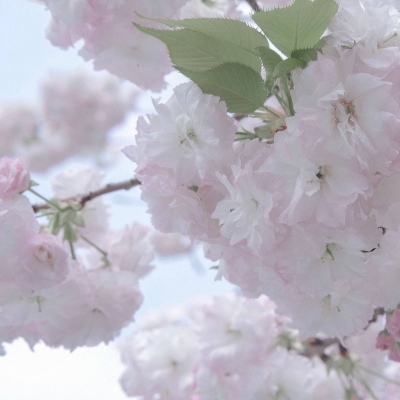 兽设山谷场景设计Furry群